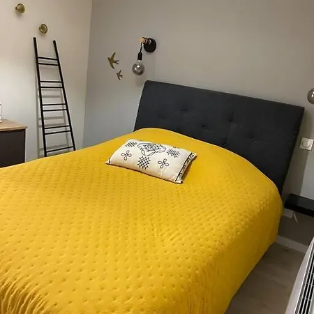 Très Bel Appt En Centre