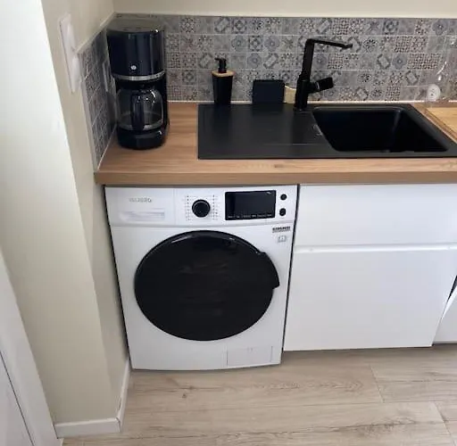 Appartement Très Bel Appt En Centre